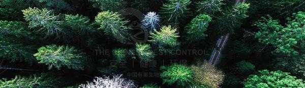 蜈蚣到家里,揭秘梦境中的神秘预兆,象征,事业,挑战,第1张 蜈蚣到家里,揭秘梦境中的神秘预兆,象征,事业,挑战,第1张