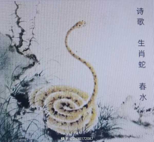 好，用户让我写一篇关于蛇年十二生肖运势的文章，先写标题，再写内容，内容不少于982个字。首先，我需要确定一个吸引人的标题，可能结合蛇年的特点和运势的主题，比如蛇年运势解析，生肖与命运的神秘联,象征,命运,事业,第1张