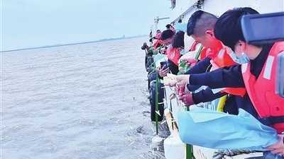 氮葬行业的困境，悲伤与平衡的,挑战,气场,能量,第1张