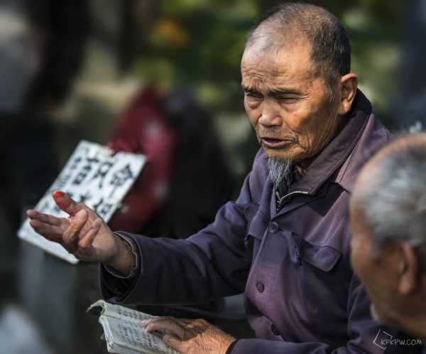 算命的还苗，解读命运与生命的奥秘,象征,命运,挑战,第1张