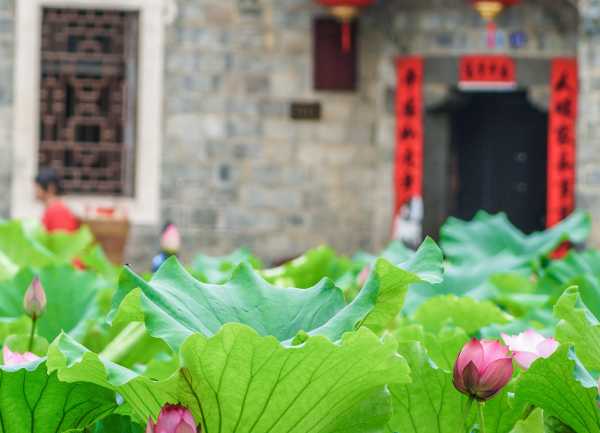 吉首寺庙求签，探访传统求签文化的秘境,求签,占卜,寺庙,第1张
