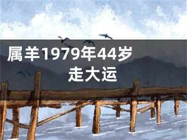 生肖羊45岁运势解析，事业与健康的关键点,事业,挑战,合作,第1张
