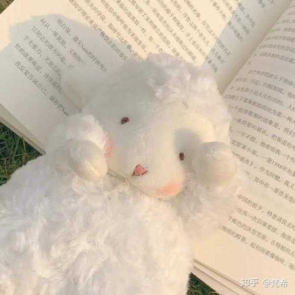 潪湃的温柔，如何用可爱的表情包让求签瞬间变高级？,命运,希望,求签,第1张