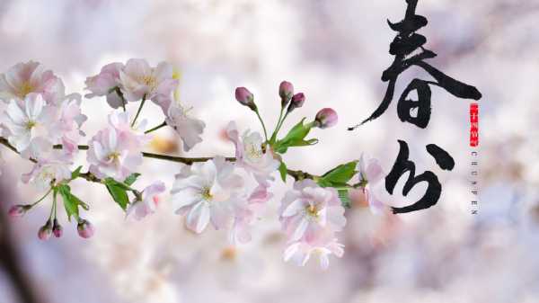 春分时节，女宝宝取名指南,象征,希望,宝宝取名,第1张