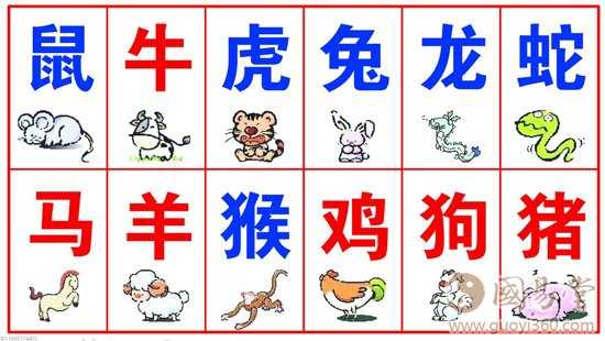生肖运势解析，12月23日出生者的 lucky day,事业,挑战,希望,第1张