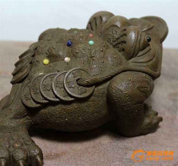 蟾蜍进家，解读神秘的预兆,象征,事业,希望,第1张