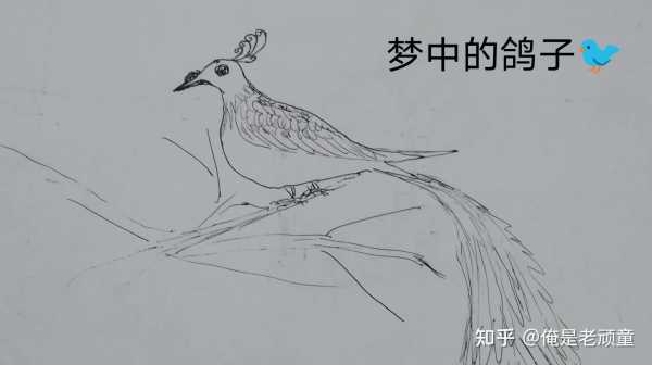 楼下的鸽子,预兆与解梦的启示,象征,挑战,希望,第1张 楼下的鸽子,预兆与解梦的启示,象征,挑战,希望,第1张