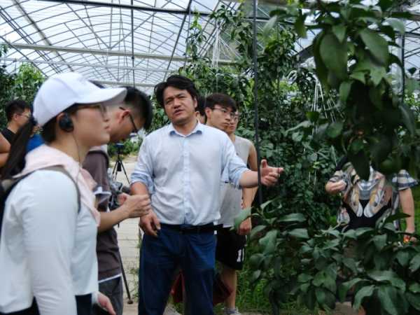 好,用户让我写一篇关于黄岩开放求签寺庙的文章,首先得确定标题。标题要简洁又能吸引人,我想到黄岩古寺庙与现代文明的对话这个标题,既点出了寺庙的历史,又暗示了现代元素的融入,象征,求签,文化传承,第1张 好,用户让我写一篇关于黄岩开放求签寺庙的文章,首先得确定标题。标题要简洁又能吸引人,我想到黄岩古寺庙与现代文明的对话这个标题,既点出了寺庙的历史,又暗示了现代元素的融入,象征,求签,文化传承,第1张