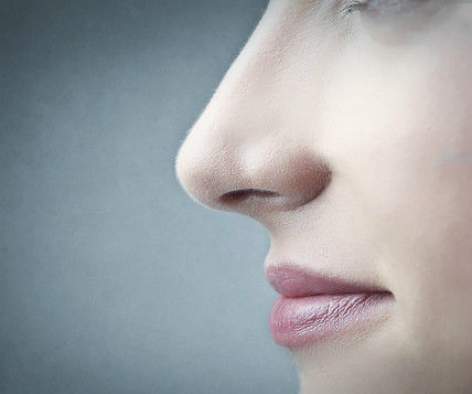 好,用户让我写一篇关于鼻子在算命中管什么的文章,先写标题,再写内容,内容不少于876个字。首先,我需要理解鼻子在算命这个主题。算命通常涉及命理学、、相面等,而鼻子在这些方面可能有其独特的作用,象征,命运,挑战,第1张 好,用户让我写一篇关于鼻子在算命中管什么的文章,先写标题,再写内容,内容不少于876个字。首先,我需要理解鼻子在算命这个主题。算命通常涉及命理学、、相面等,而鼻子在这些方面可能有其独特的作用,象征,命运,挑战,第1张