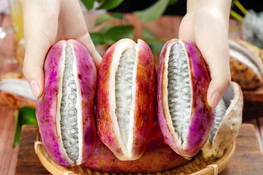 梦见摘八月瓜,周公解的深层寓意解析,象征,挑战,解梦,第1张 梦见摘八月瓜,周公解的深层寓意解析,象征,挑战,解梦,第1张