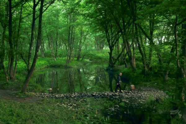 永嘉瓯北求签,历史的回响与现代的启示,命运,算命,求签,第1张 永嘉瓯北求签,历史的回响与现代的启示,命运,算命,求签,第1张