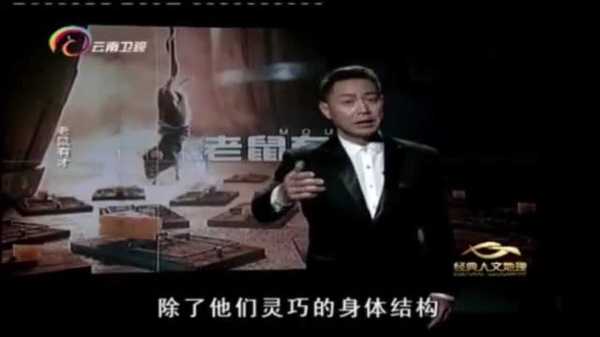 ,我应该分析老鼠求签的科学依据,比如老鼠的活动是否真的能带来,或者是否有科学证据支持这种做法。这部分可以引用一些心理学或生物学的研究,说明老鼠行为的规律性,以及这些规律如何被人们误用,象征,挑战,求签,第1张 ,我应该分析老鼠求签的科学依据,比如老鼠的活动是否真的能带来,或者是否有科学证据支持这种做法。这部分可以引用一些心理学或生物学的研究,说明老鼠行为的规律性,以及这些规律如何被人们误用,象征,挑战,求签,第1张