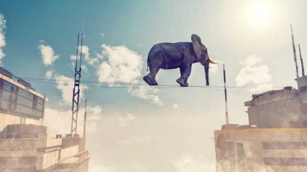 好，用户让我写一篇关于夜晚看见大象的预兆和解梦文章。首先，我需要确定文章的标题，得吸引人又相关。可能用夜晚看见大象，预兆与解梦探索这样的标题，既点明了主题，又有一定的神秘感,象征,挑战,自我,第1张