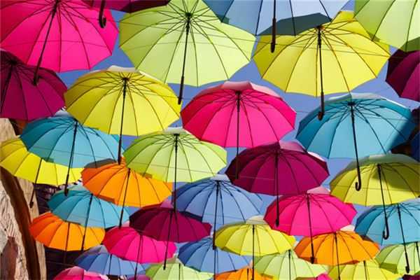 :梦见新伞,预示着的新生与蜕变,象征,挑战,希望,第1张 :梦见新伞,预示着的新生与蜕变,象征,挑战,希望,第1张