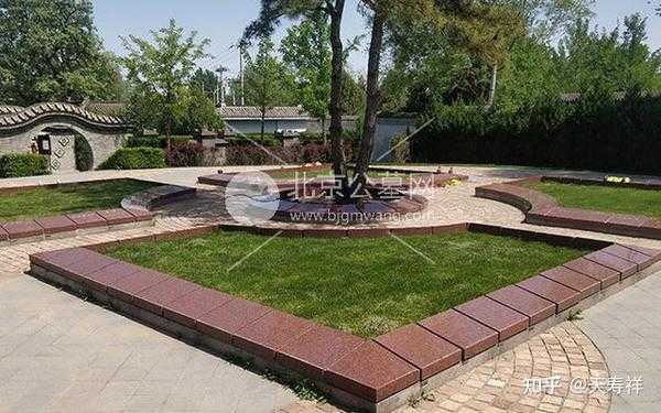 墓地种什么花木好呢?讲究助您安葬无忧,象征,希望,八字,第1张 墓地种什么花木好呢?讲究助您安葬无忧,象征,希望,八字,第1张