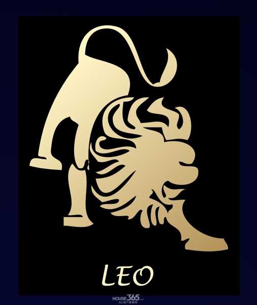 生肖兔年狮子座运势，闪耀光芒的一年，机遇与并存,事业,挑战,希望,第1张