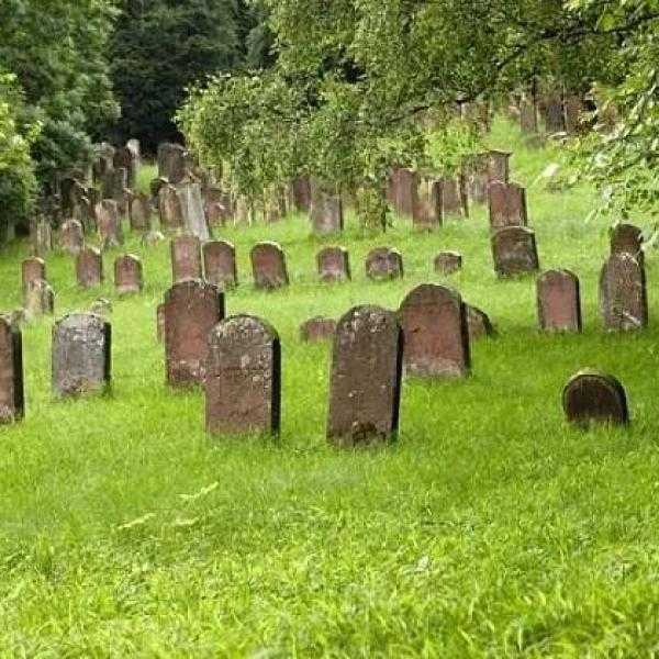 好，用户让我写一篇关于墓地放什么石头好，的文章。首先，我需要确定文章的标题，得吸引人又相关。是内容，不少于937个字，得涵盖知识，同时提供实用建议,象征,希望,风水,第1张