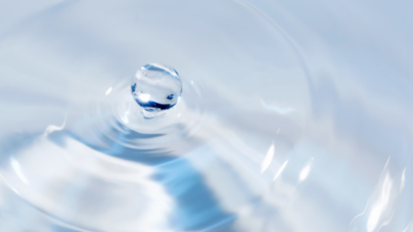 水元素与，从鱼到五行的深层关联,象征,事业,气场,第1张