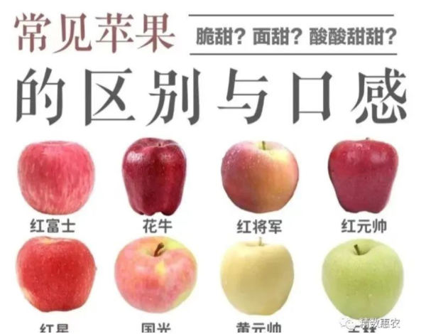 十二星座的苹果，你知道哪些？,象征,挑战,希望,第1张