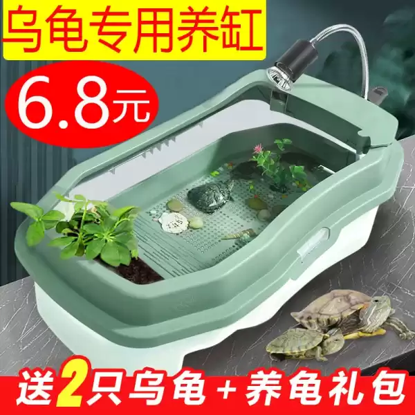 养龟用什么缸好?选择与调和的乌龟缸指南,希望,风水,宠物,第1张 养龟用什么缸好?选择与调和的乌龟缸指南,希望,风水,宠物,第1张