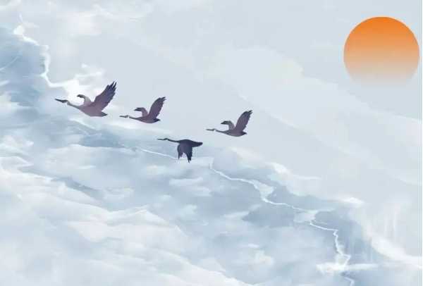 属虎人2024年运势解析，事业、财运、感情全分析,命运,事业,挑战,第1张