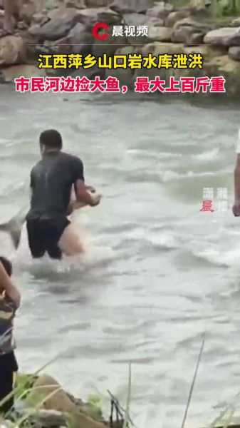 水渠里捡到鱼，预兆与解梦的深层解析,象征,挑战,希望,第1张