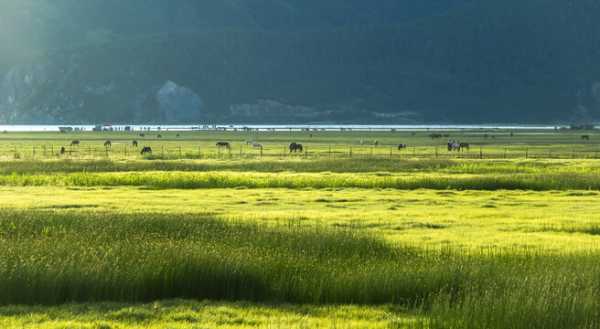 草原的,自然与人文的和谐共生,象征,能量,合作,第1张 草原的,自然与人文的和谐共生,象征,能量,合作,第1张