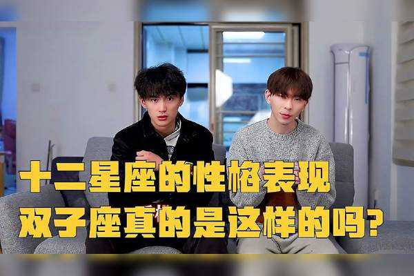 双子座,最无情的星座吗?,挑战,自我,星座,第1张 双子座,最无情的星座吗?,挑战,自我,星座,第1张