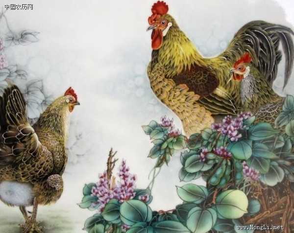 2017年生肖鸡运势解析,机遇与同在,象征,事业,挑战,第1张 2017年生肖鸡运势解析,机遇与同在,象征,事业,挑战,第1张