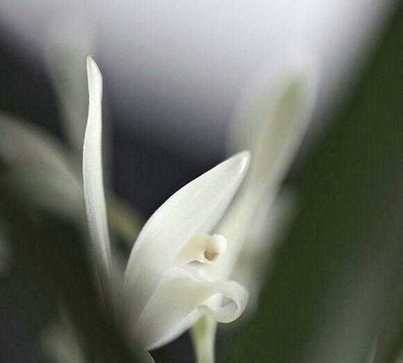 再斯可矣,解开月老签的智慧与实践,象征,希望,与和谐,第1张 再斯可矣,解开月老签的智慧与实践,象征,希望,与和谐,第1张