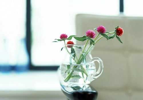 花与,哪些花卉不宜放置家中,象征,事业,气场,第1张 花与,哪些花卉不宜放置家中,象征,事业,气场,第1张