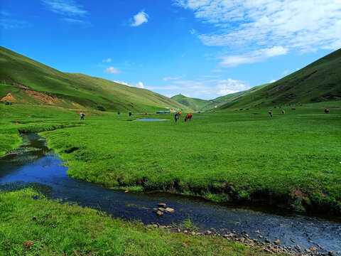 草原的,自然能量的流动之书,象征,气场,能量,第1张 草原的,自然能量的流动之书,象征,气场,能量,第1张