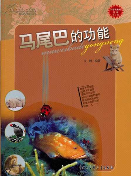 十二星座的马尾巴是什么,象征,挑战,十二星座,第1张 十二星座的马尾巴是什么,象征,挑战,十二星座,第1张