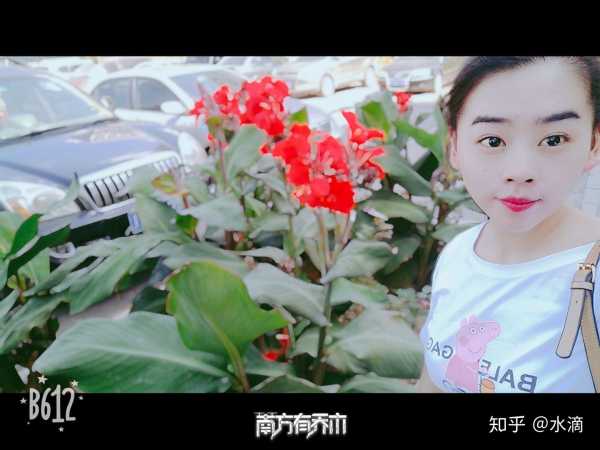 花开,一场与内心的对话,象征,希望,自我,第1张 花开,一场与内心的对话,象征,希望,自我,第1张