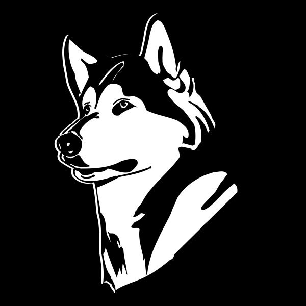 生肖虎2023年5月31日运势解析,事业与健康的关键点,命运,事业,挑战,第1张 生肖虎2023年5月31日运势解析,事业与健康的关键点,命运,事业,挑战,第1张