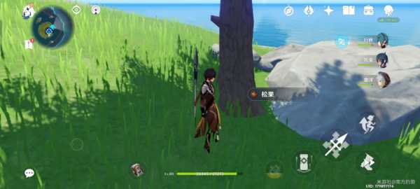 原神中的神秘松果，求签与命运的交,象征,命运,挑战,第1张