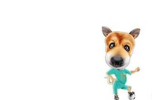 生肖狗男生今日运势，运势详解，助你把握美好时光,事业,挑战,合作,第1张