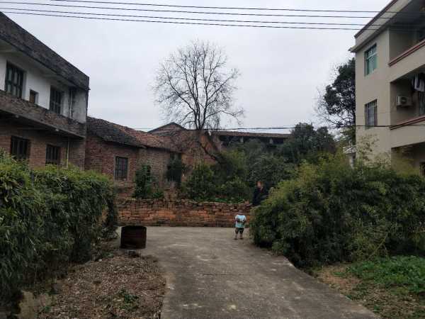 好,用户让我写一篇关于你们身边有什么师嘛的文章,先写标题,再写内容,内容不少于847个字。首先,我需要理解用户的需求。他们可能是在寻找一种轻松有趣的方式来讨论,而不是严肃的占卜或科学解释,占卜,风水,宠物,第1张 好,用户让我写一篇关于你们身边有什么师嘛的文章,先写标题,再写内容,内容不少于847个字。首先,我需要理解用户的需求。他们可能是在寻找一种轻松有趣的方式来讨论,而不是严肃的占卜或科学解释,占卜,风水,宠物,第1张