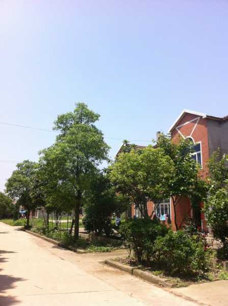 高畈村开工大吉时间,传统与现代的和谐共鸣,吉时,算命,文化传承,第1张 高畈村开工大吉时间,传统与现代的和谐共鸣,吉时,算命,文化传承,第1张