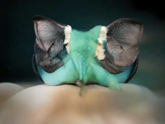 好,用户让我写一篇关于算命的来家里办事叫什么的文章。首先,我需要确定文章的标题,得吸引人又相关。,内容部分要不少于811个字,涵盖算命的称呼、服务内容、收费方式以及选择算命的注意事项,命运,希望,八字,第1张 好,用户让我写一篇关于算命的来家里办事叫什么的文章。首先,我需要确定文章的标题,得吸引人又相关。,内容部分要不少于811个字,涵盖算命的称呼、服务内容、收费方式以及选择算命的注意事项,好,用户让我写一篇关于算命的来家里办事叫什么的文章。首先,我需要确定文章的标题,得吸引人又相关。,内容部分要不少于811个字,涵盖算命的称呼、服务内容、收费方式以及选择算命的注意事项,命运,希望,八字,第1张