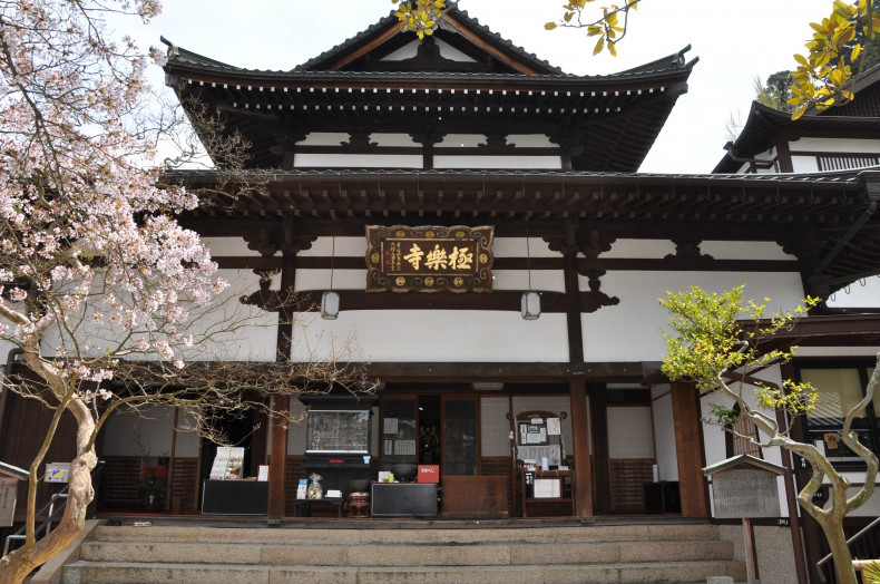 寺算命女师傅,一位传承的心灵导师,命运,希望,算命,第1张 寺算命女师傅,一位传承的心灵导师,命运,希望,算命,第1张