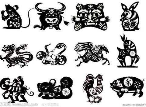 十二生肖鸡19年运势解析,事业与健康的关键 year,事业,挑战,希望,第1张 十二生肖鸡19年运势解析,事业与健康的关键 year,事业,挑战,希望,第1张