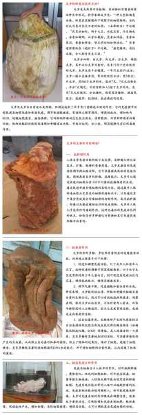 好，用户让我写一篇关于石太岁作用的文章，先写标题，再写内容，内容不少于984个字。首先，我需要明确石太岁指的是什么。可能是指某种中的神灵或者象征物，或者是某种布局中的关键元素,象征,事业,气场,第1张