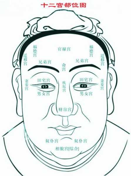 面相算命的特点是什么,象征,命运,挑战,第1张 面相算命的特点是什么,象征,命运,挑战,第1张