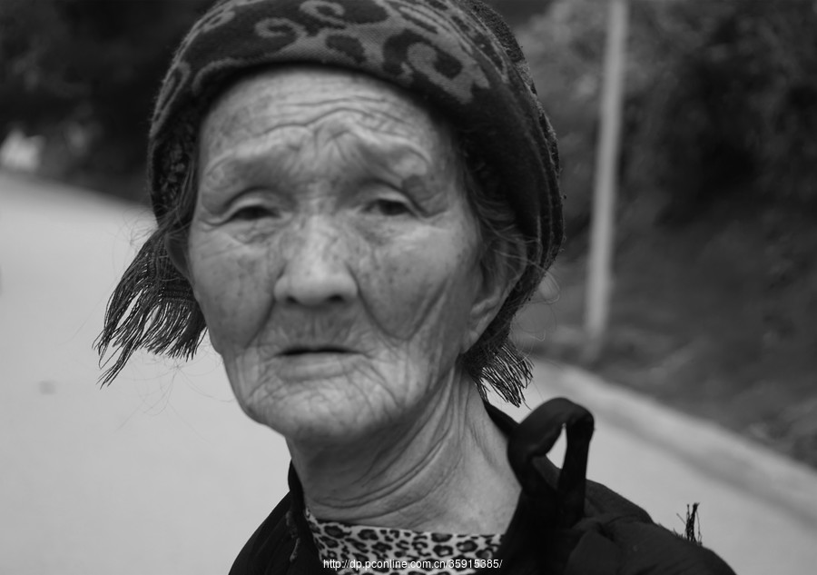 赶猪上圈吉时,象征,吉时,美好,第1张