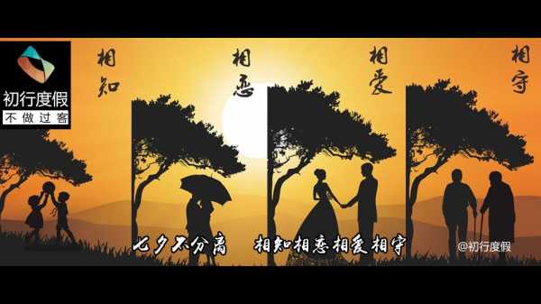 相知之 moment，一场跨越时空的缘分,命运,自我,美好,第1张