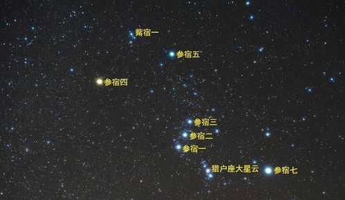 十二星座与音分的搭配,自我,十二星座,星座,第1张