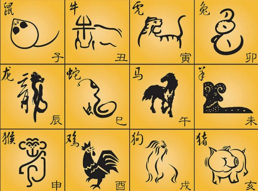 生肖日,解读运势的神秘密码,象征,命运,事业,第1张 生肖日,解读运势的神秘密码,象征,命运,事业,第1张