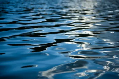 用户可能对军阀算命电影不太了解，所以需要做一些基本的介绍。我应该先解释什么是军阀算命电影，介绍这种类型电影的特点，接着举几个例子，最后总结一下这种电影在历史上的作用和影响,象征,命运,算命,第1张