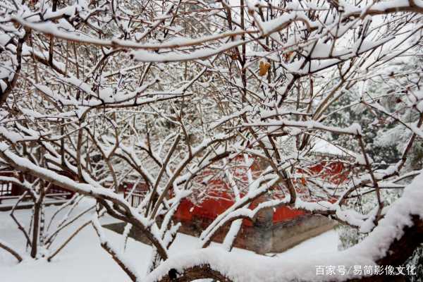 修墓时下大雪的预兆与解梦解析,象征,希望,解梦,第1张 修墓时下大雪的预兆与解梦解析,象征,希望,解梦,第1张